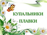 Купальники, Плавки.